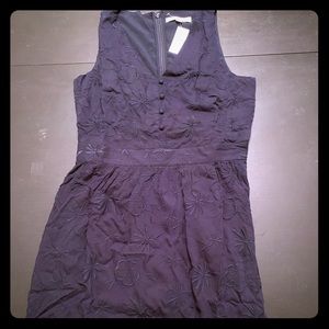 NWT Size 6 Navy Blue Flower Print Loft Dress